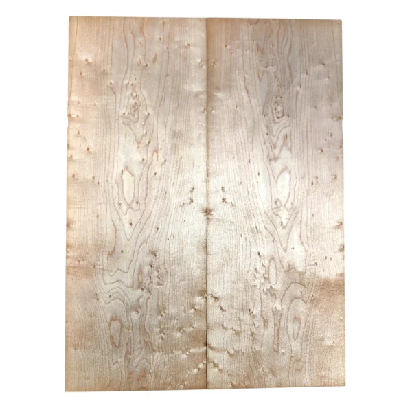 Drop Top Maple Ojo Pajaro AA #31224